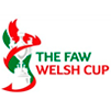 Copa de Gales 2006
