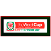 Copa de la Liga Gales 2005