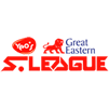 Liga Singapur 2013