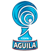 Copa Colombia 2014