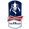 FA Cup 2014