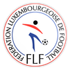 Copa Luxemburgo 2012